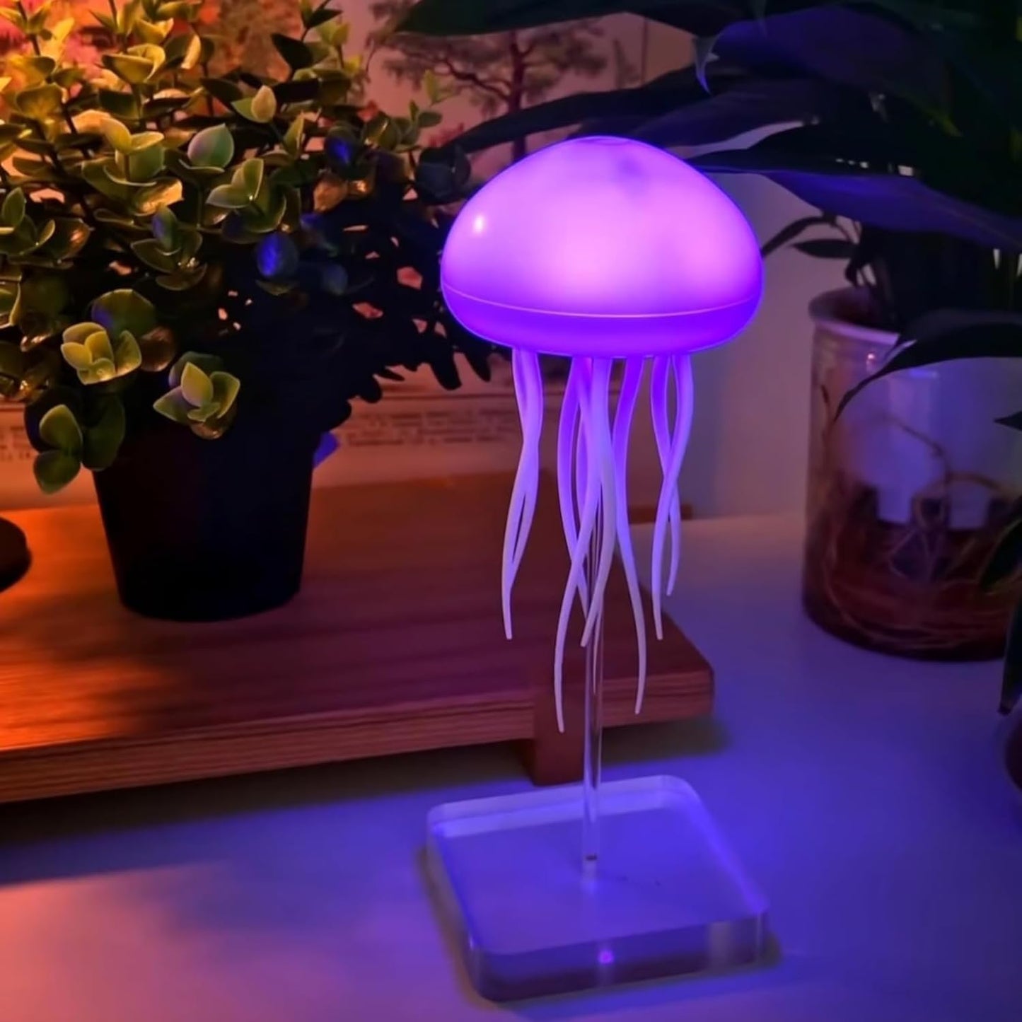 EQUINOX India Jellyfish LED Lamp | Color Changing Ambient Night Light for Home & Kids Room