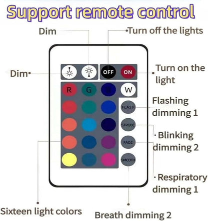 EQUINOX INDIA Northern Lights Projector Lamp | Galaxy Star Bedroom Light with Remote