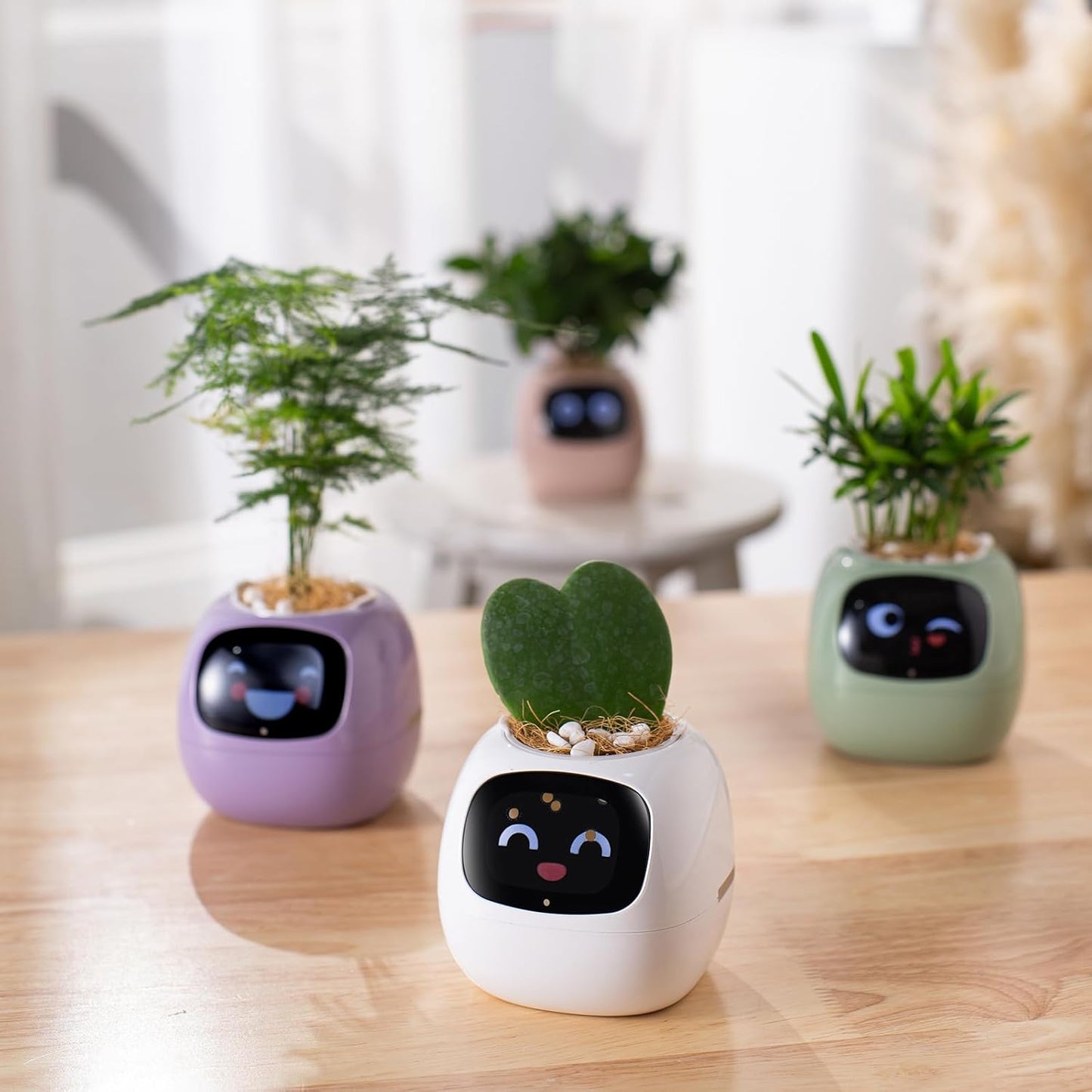 IVY Smart Plant Robot Flower Pot — Automatic Watering, App Control & AI Plant Care