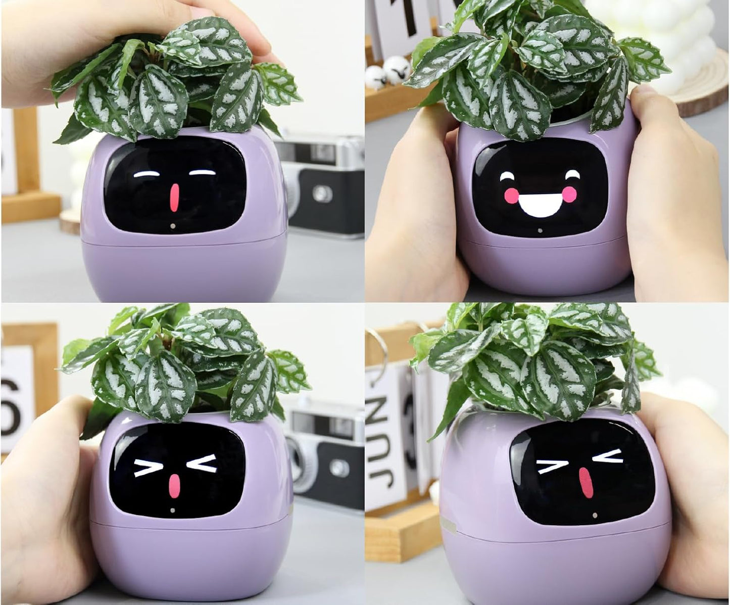 IVY Smart Plant Robot Flower Pot — Automatic Watering, App Control & AI Plant Care